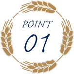 POINT 01